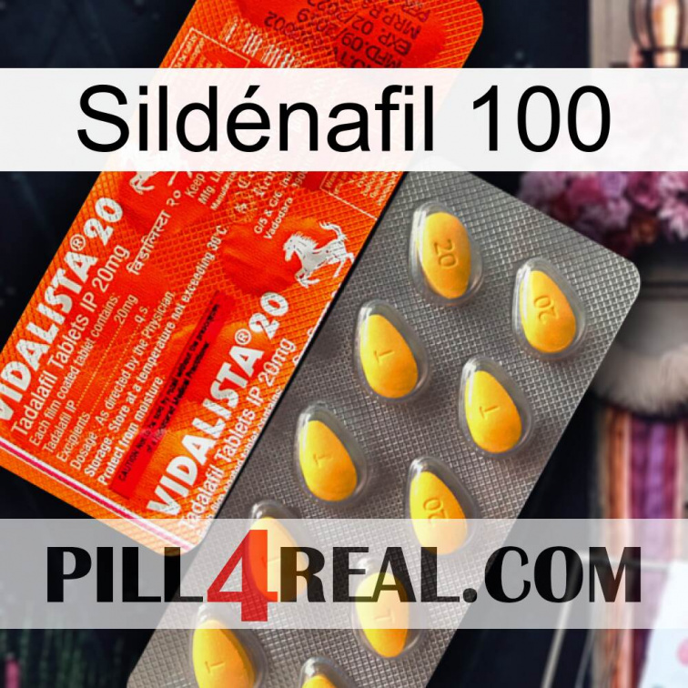 Sildénafil 100 new01